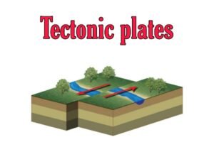 What cause the tectonic plates to move