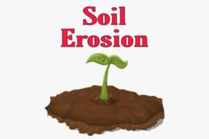 what is soil erosion in geography