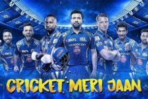 Which IPL team has most fans