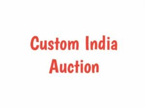 Custom auction india