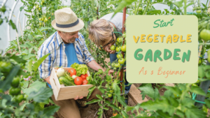 How to Start a Vegetable Garden