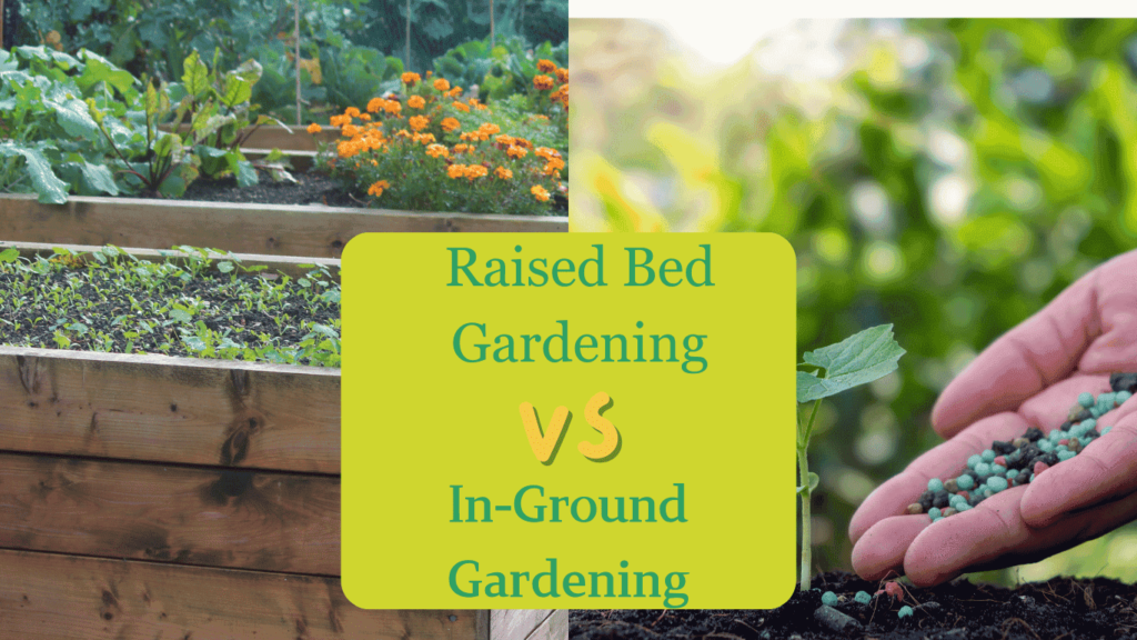 Raised Bed Gardening vs. In-Ground Gardening: Which is Better?