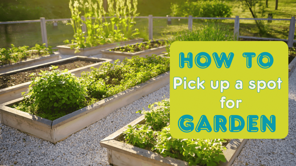 How to pick up a spot for garden