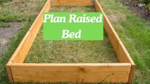 How to Build Raised Garden Beds on a Budget: Step-by-Step Guide