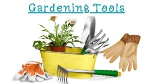 most essential tools for any garden