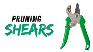 Most essential Gardening tools: pruning shears 