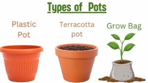 Types of pots to grow vegetables 