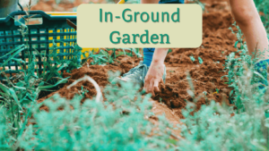 Raised Bed Gardening and In Ground Gardening pros and cons 