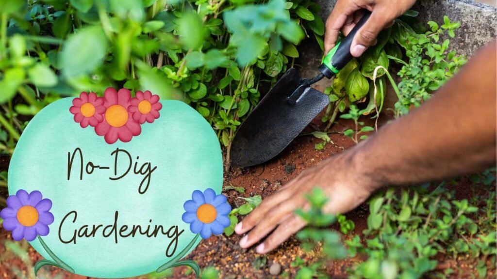 How to Start a No-Dig Garden for beginners