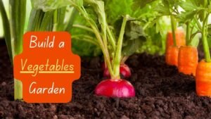 Backyard Garden Ideas: grow Vegetables Garden in your backyard 