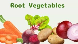 Root Vegetables to Grow in Pots 