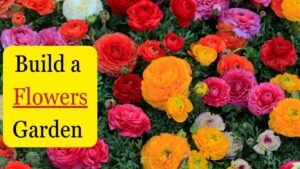 Backyard Garden Ideas: consider growing flowers 