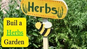 Backyard Garden Ideas: consider growing herbs 