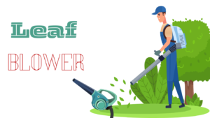 Tools for gardening: Leaf blowers 