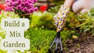 Backyard Garden Ideas: consider growing different types of plants in your backyard, when you designing it